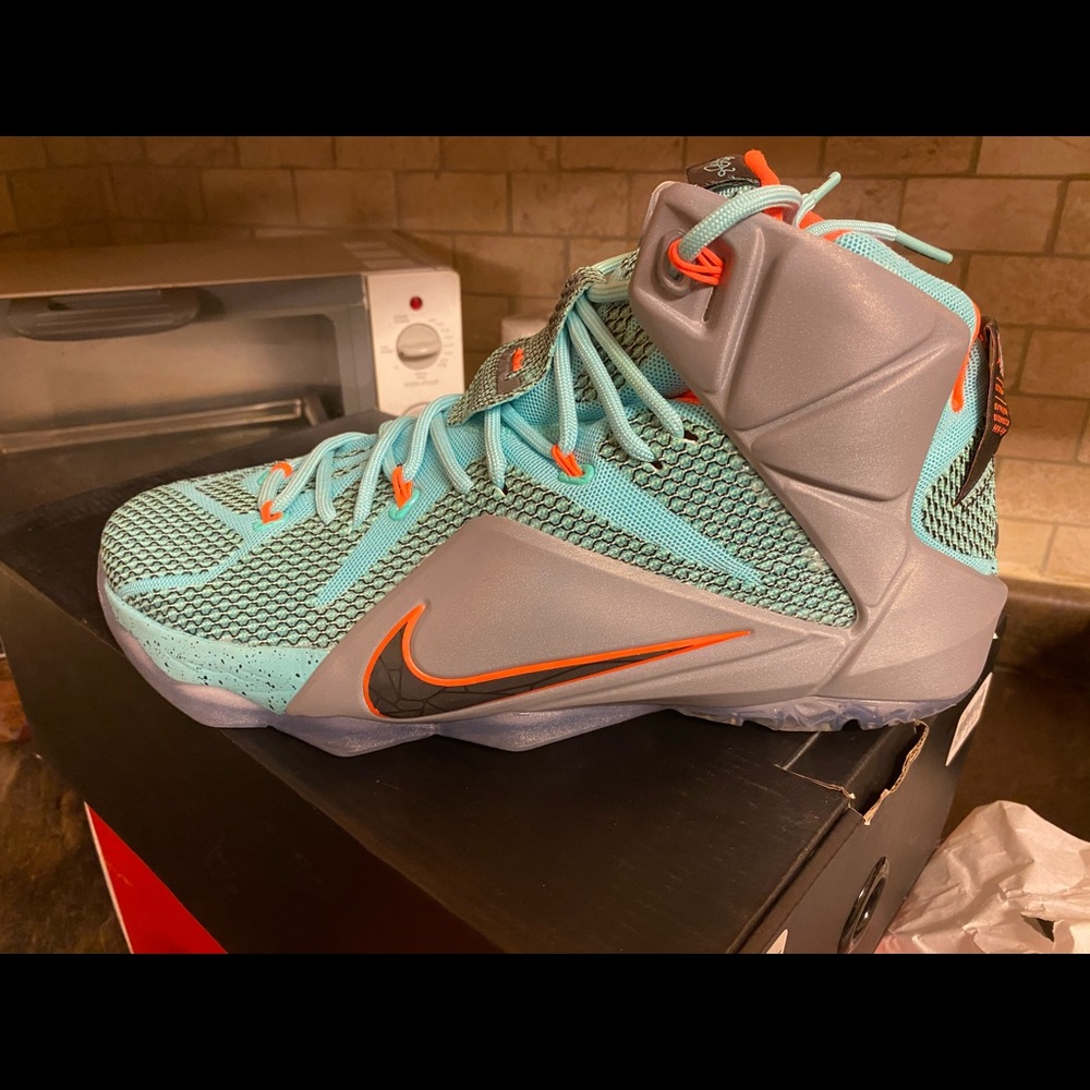 LEBRON XII